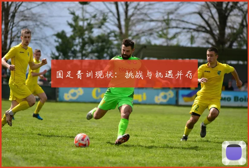 国足青训现状:挑战与机遇并存