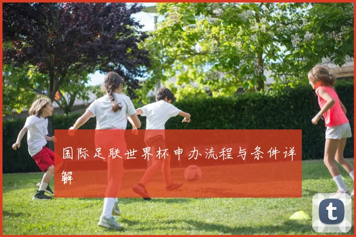 国际足联世界杯申办流程与条件详解