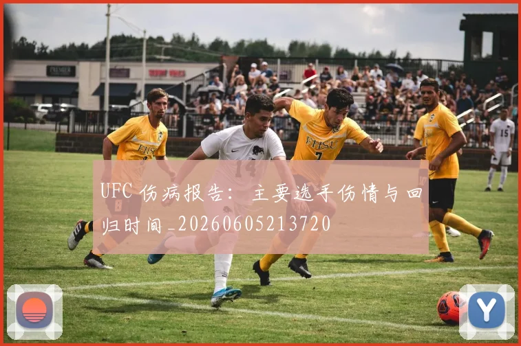 UFC 伤病报告:主要选手伤情与回归时间_20260605213720